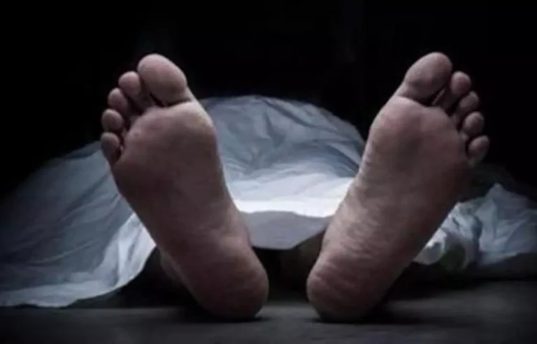 ছুরি মেরে ভারতীয় তরুণীকে খুন, থানায় ‘মিসিং ডাইরি’ করে আমেরিকা থেকে পলাতক প্রেমিক
